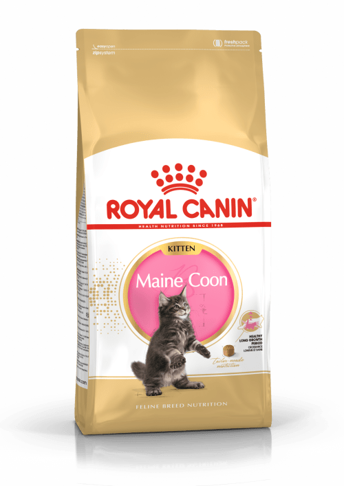 royal canin kitten food 10kg