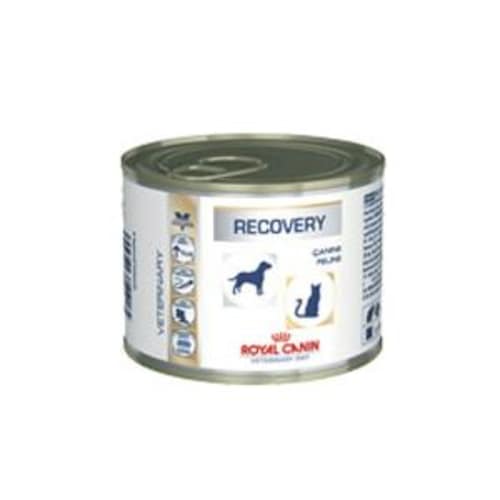 Royal Canin Recovery Feeding Guide 2024