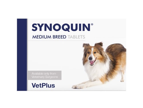 synoquin dog supplement