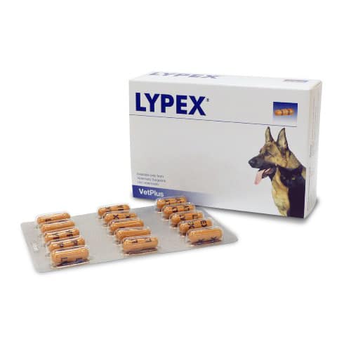 Lypex Capsules | MedicAnimal.com