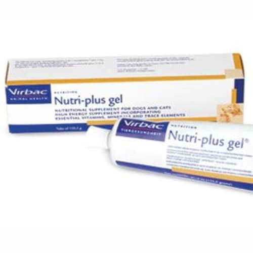 nutrigel plus for dogs