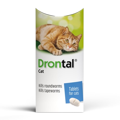 Drontal Worming Tablet for Cats 