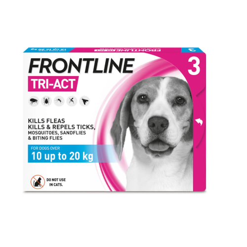 frontline medium dog