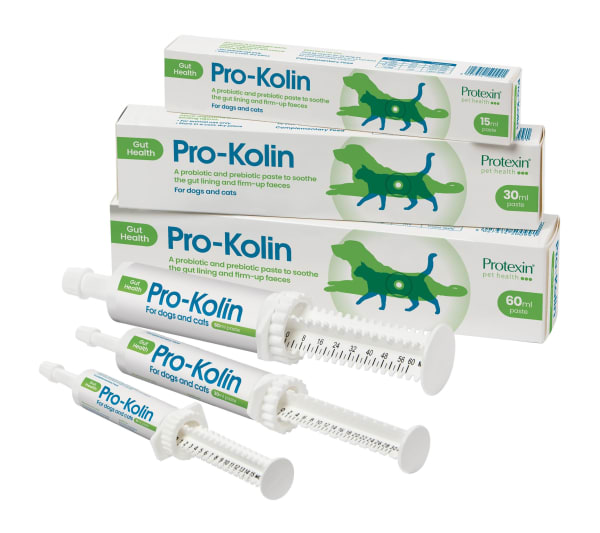 Protexin ProKolin für Hunde MedicAnimal.de