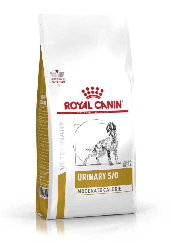 royal canin dog food for husky