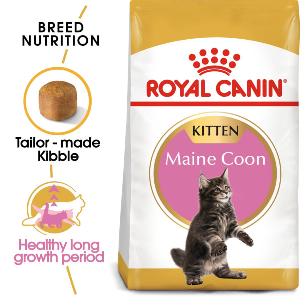 Royal Canin Kitten Maine Coon Dry Cat Food