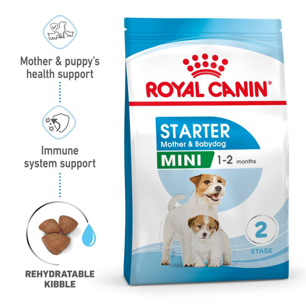 Royal canin mini on sale starter