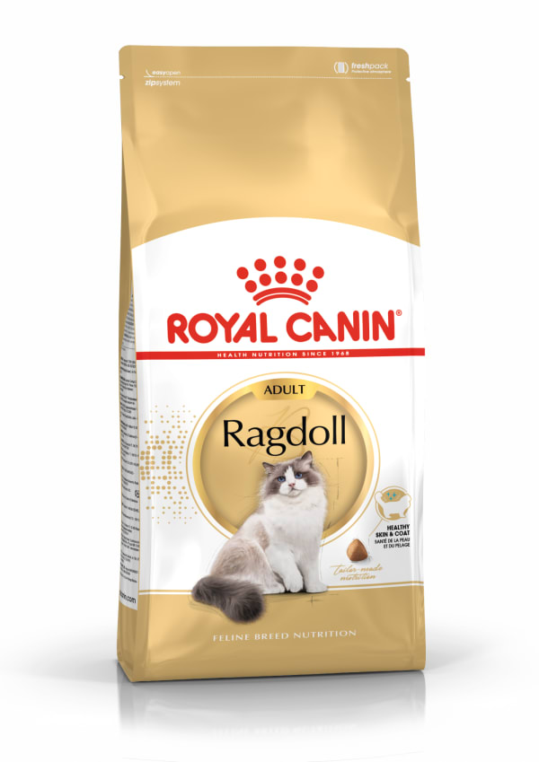 Royal canin 2025 kitten ragdoll