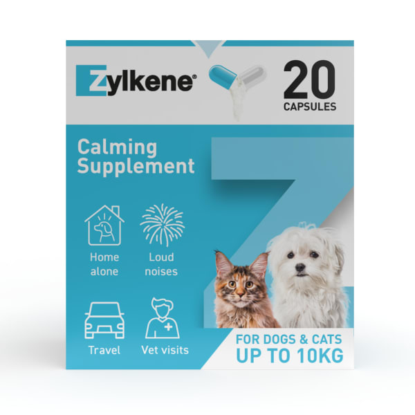 Zylkene tablets for on sale dogs