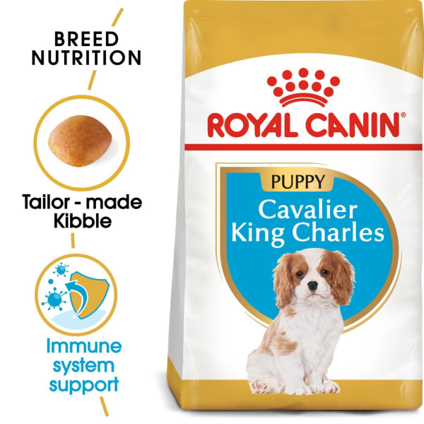 Best dry food for cavalier hot sale king charles