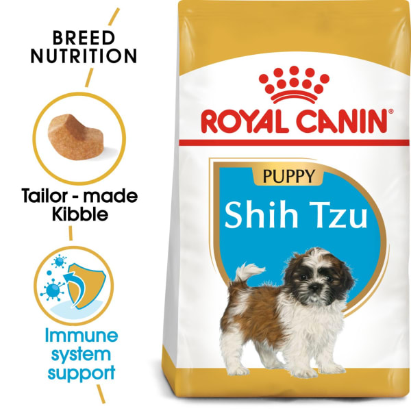 Royal canin breed health nutrition 2025 shih tzu adult dry dog food