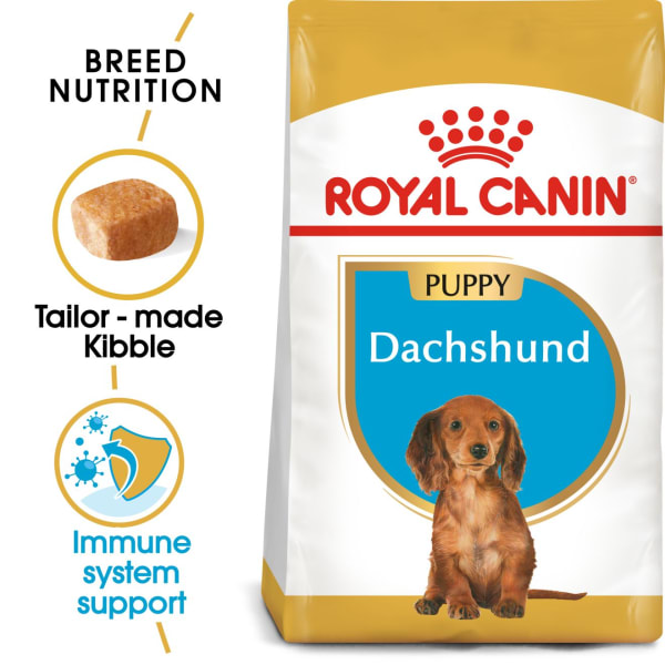 How much to feed dachshund puppy hotsell