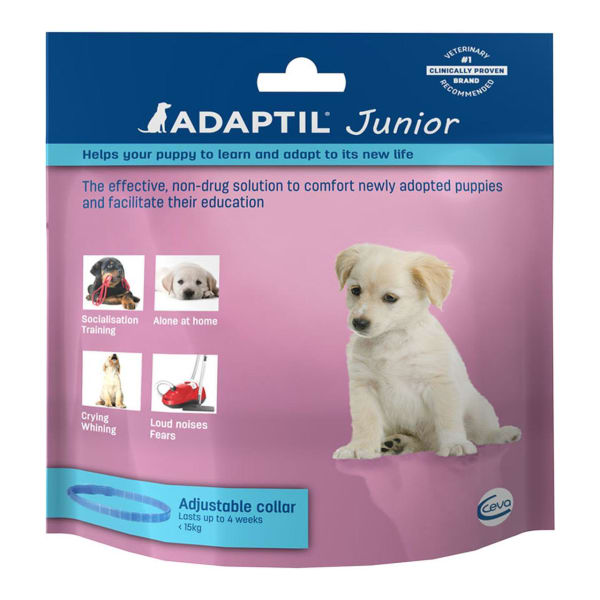 adaptil dog collar