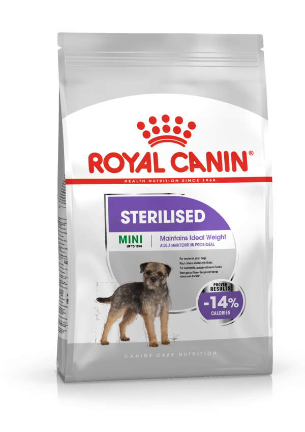 Adult mini hotsell royal canin