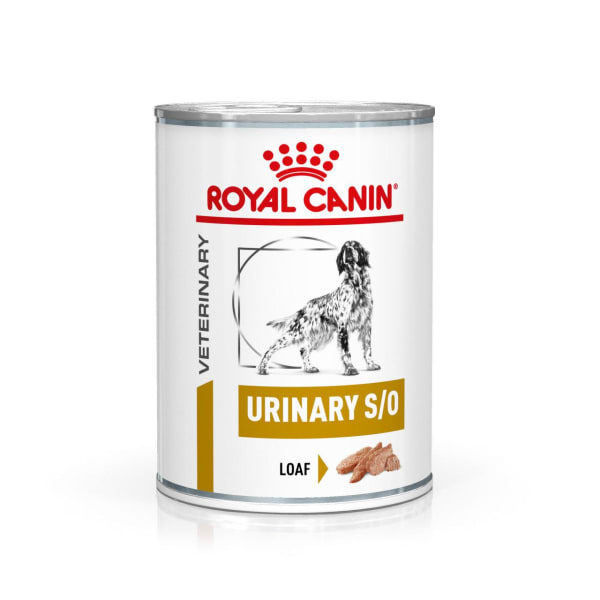 royal canin urinary adult wet dog food 12 x paws com