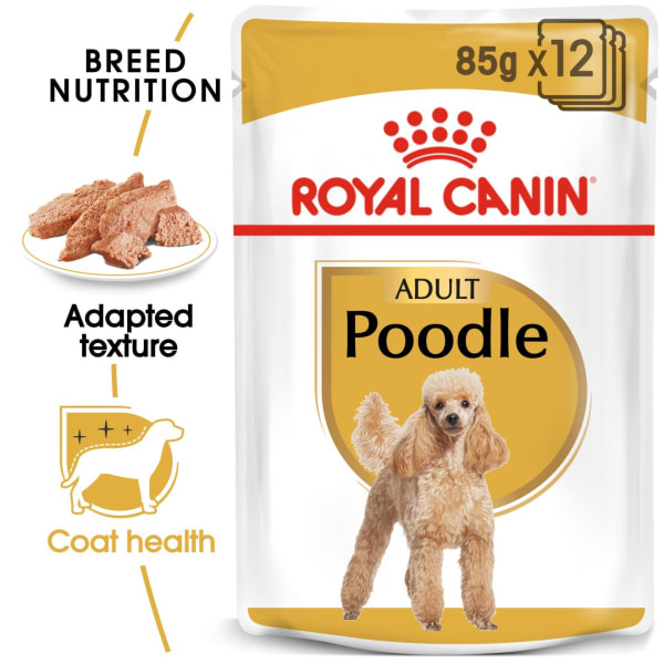 Royal canin shop wet food dog