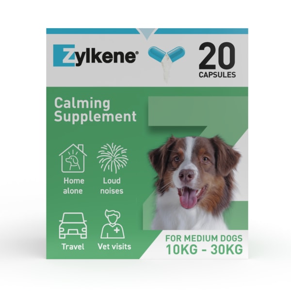 Dog calming tablets hot sale zylkene