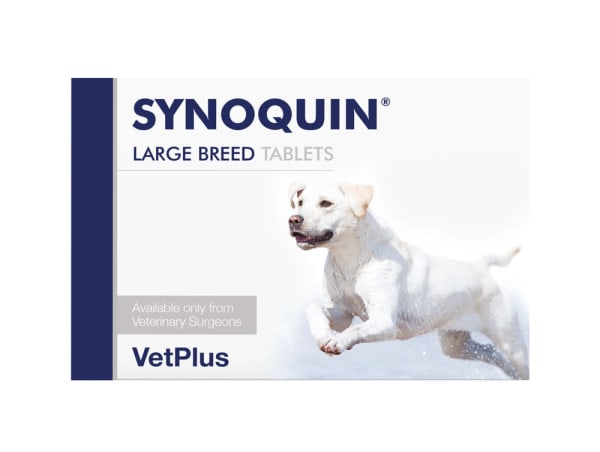 Synoquin deals dog supplement