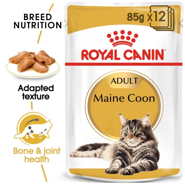 royal canin maine coon wet