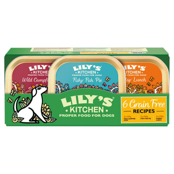 Lilys kitchen tinned cheap dog food