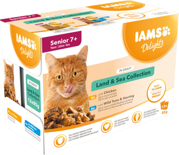 Dry cat food deals easy to chew