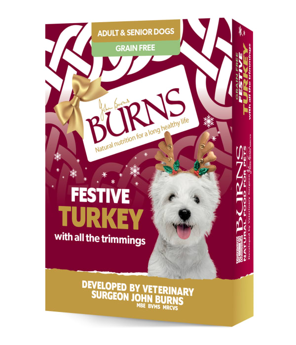 Burns grain hotsell free dog food