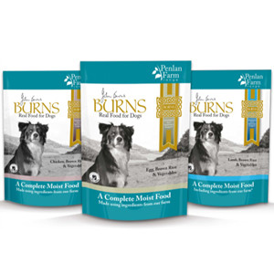 burns dog food online