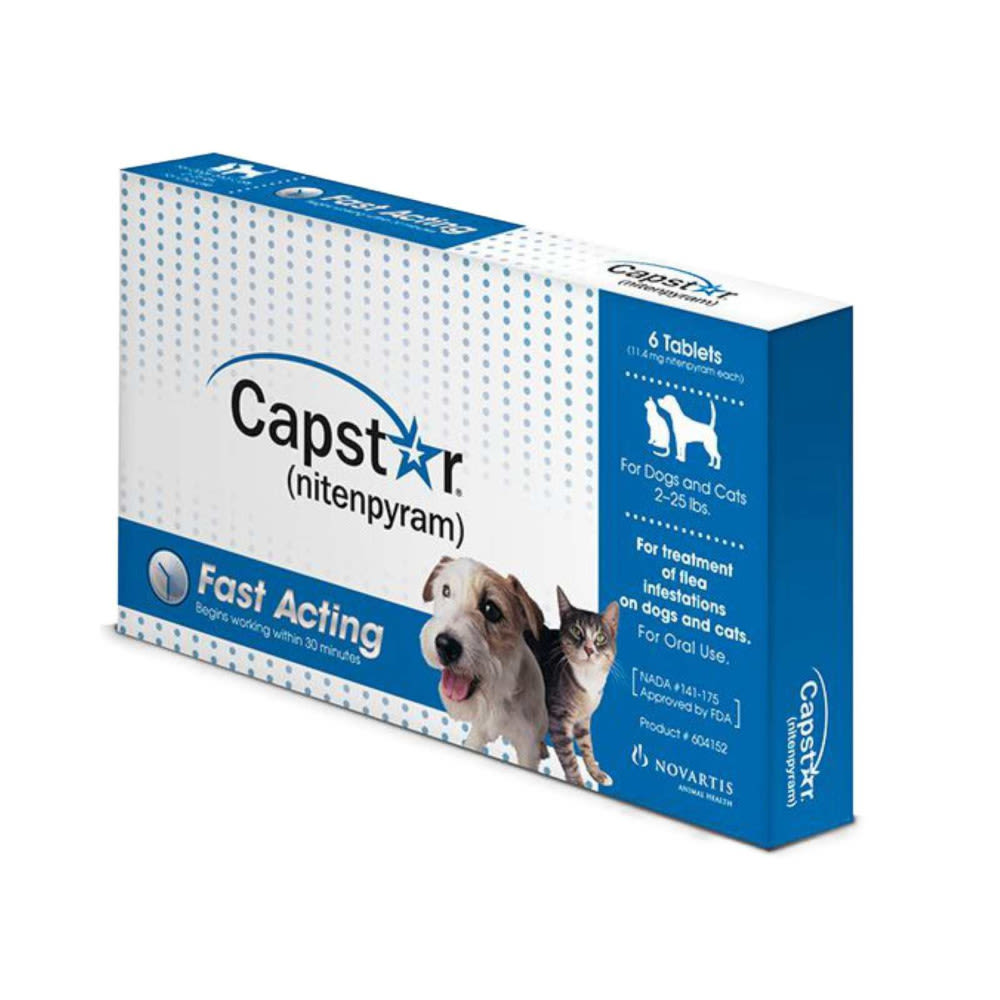 capstar for cats small dogs