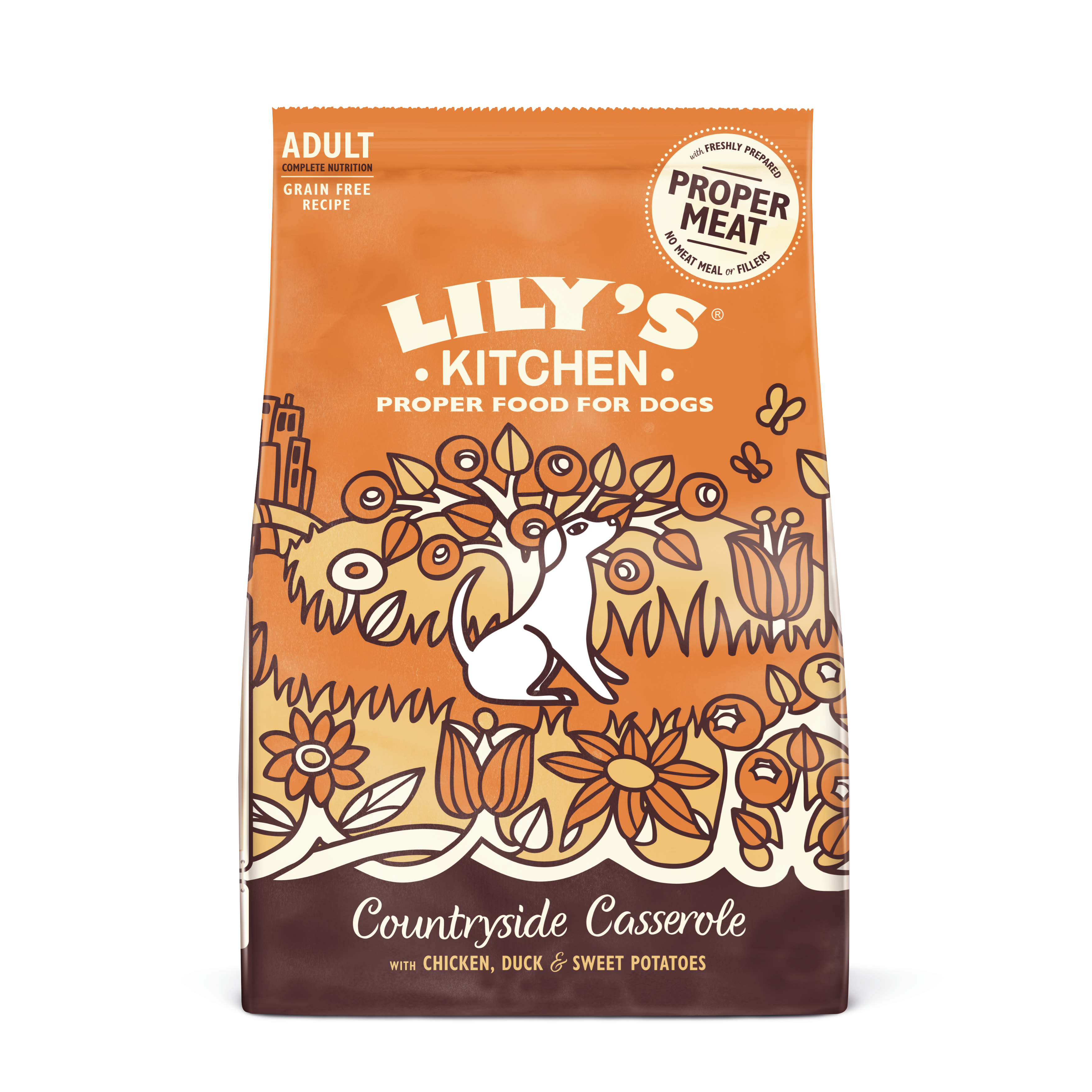 lily's kitchen recovery dog food