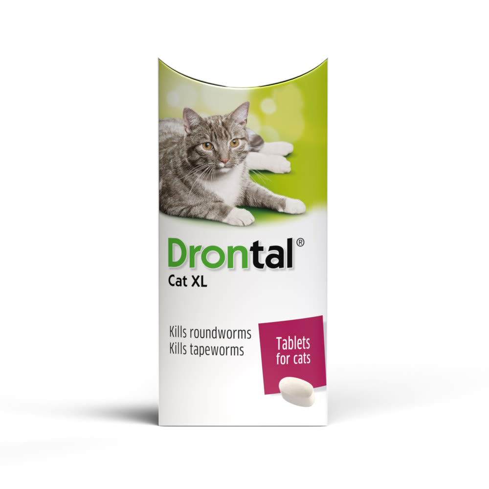 Drontal Cat Wormer Spot On Www Sassycleanersmd Com
