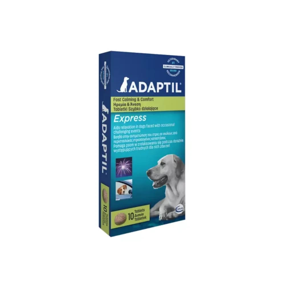 anxiety tablets for dogs