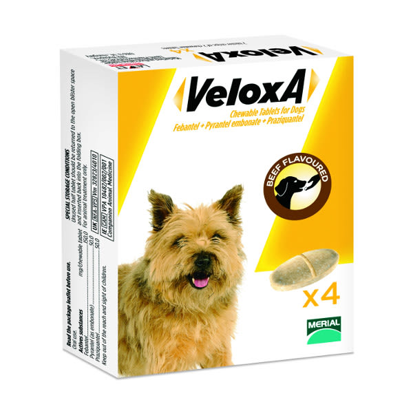 veloxa worming tablets