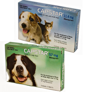 Capstar Flea Treatment Tablets | MedicAnimal.com